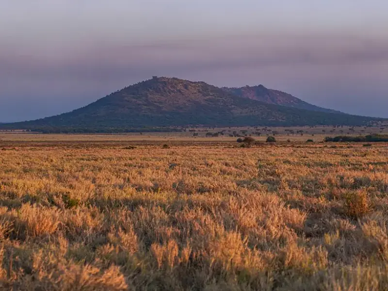 Amanecer en el Serengeti, Tanzania